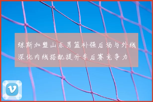 琼斯加盟山东男篮补强后场与外线深化内线搭配提升季后赛竞争力