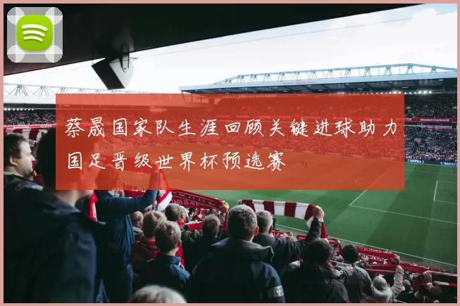 蔡晟国家队生涯回顾关键进球助力国足晋级世界杯预选赛